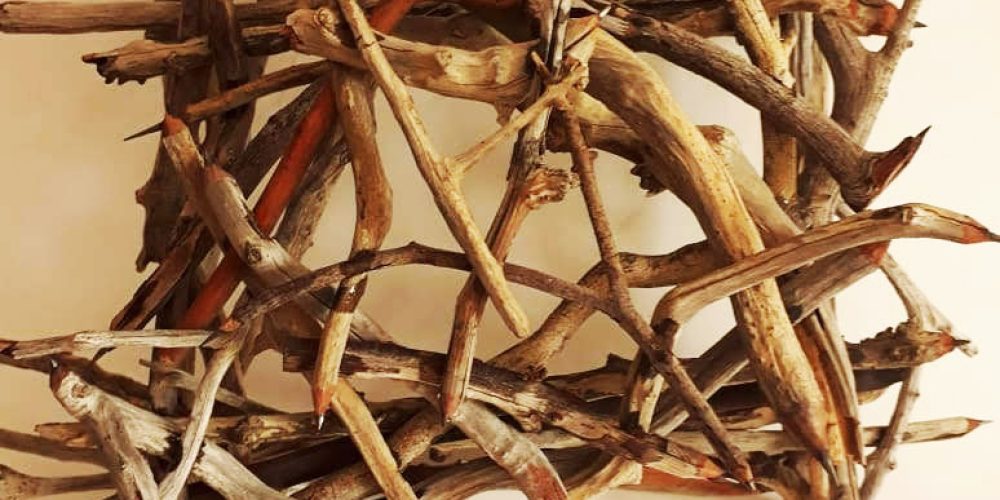 Discurso _ 2019 - superior